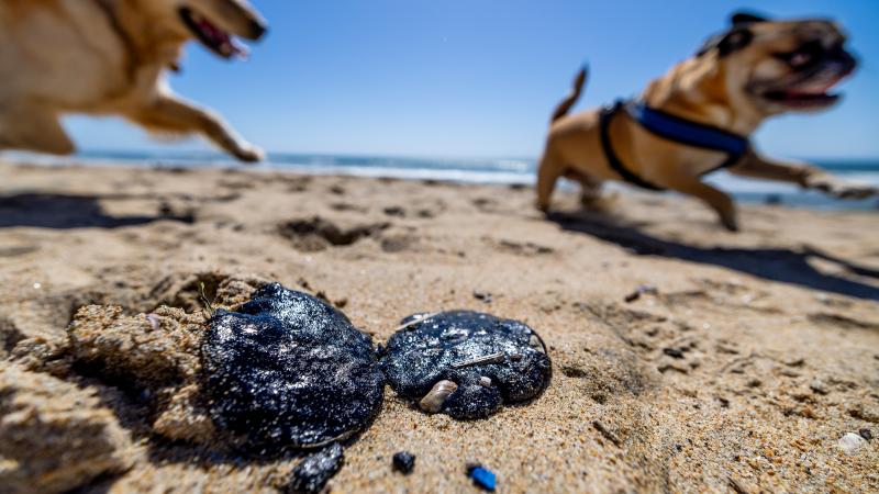 tar balls